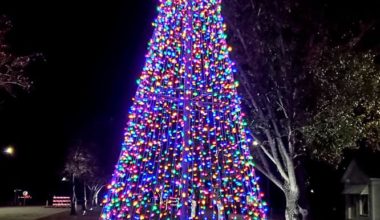 Roseboro's Christmas Tree Lighting