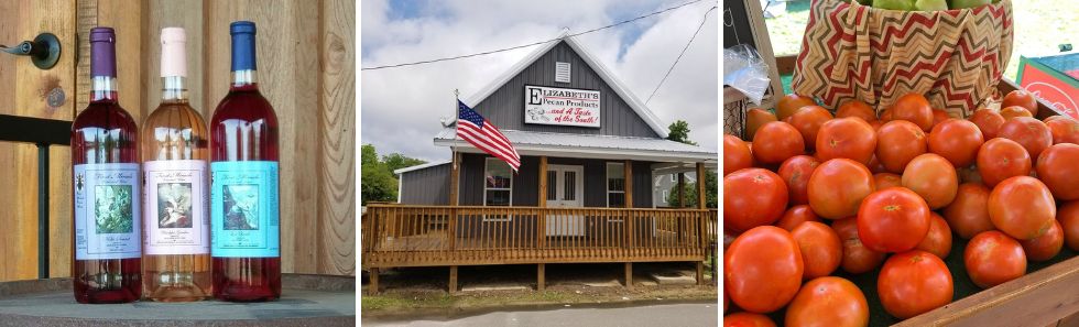 Create Your Own Agritour with the VisitNC Farms App